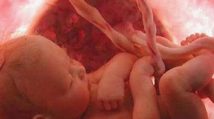 Ceninleri 30 yıl dondurup saklamış!