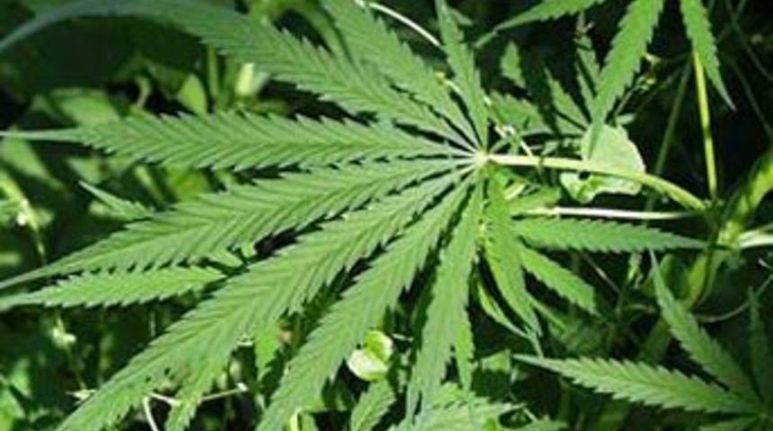 Psikopati riski artıyor