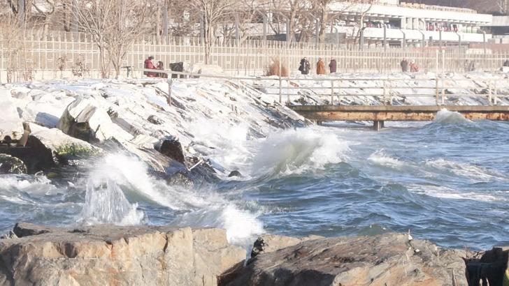 'Balık kalmayacak! Ne hamsi, ne istavrit...' Şimdi de Marmara'nın kabusu oldu! Tenekeyi bile ısırıp koparıyor, gördüğü her canlıyı yiyip tüketiyor G5
