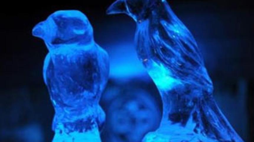 Muhteşem buzlar İstanbul'da