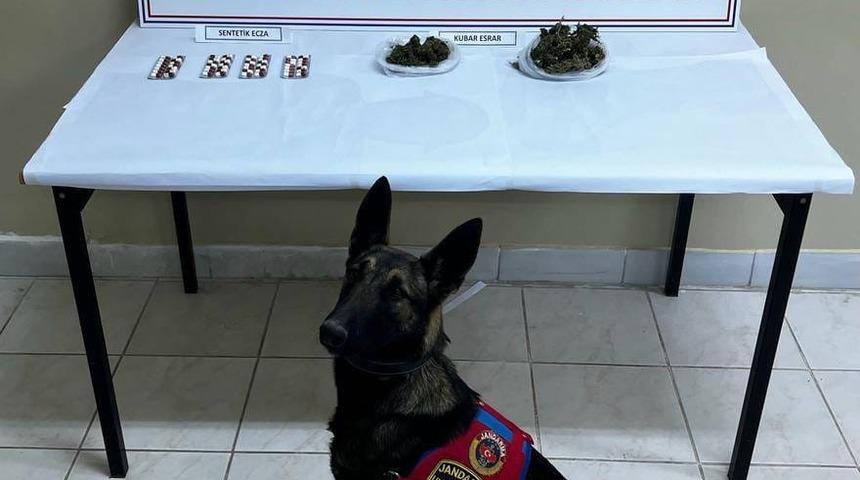 Narkotik köpeği ile arama yapılan araçta uyuşturucu ele geçirildi