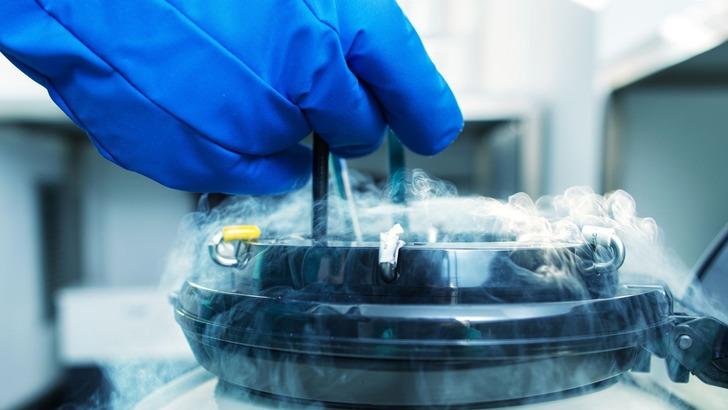 Uzmanı kadınları uyardı! '40 yaşından önce yapılmalı' Çocuk sahibi olmayı erteleyen kadınlar için yeni yöntem: Yumurta dondurma G1