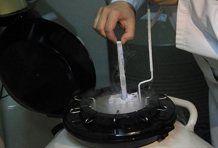 Uzmanı kadınları uyardı! '40 yaşından önce yapılmalı' Çocuk sahibi olmayı erteleyen kadınlar için yeni yöntem: Yumurta dondurma G4