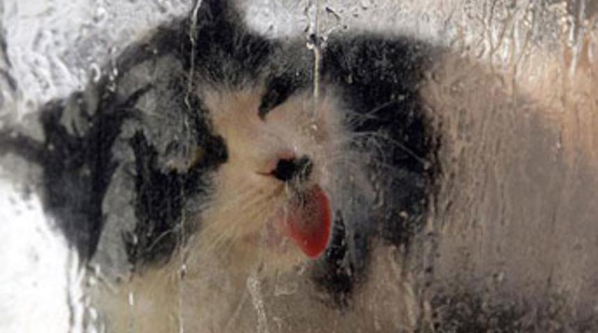 Yaşamak i&ccedil;in bunu yapmak zorunda!