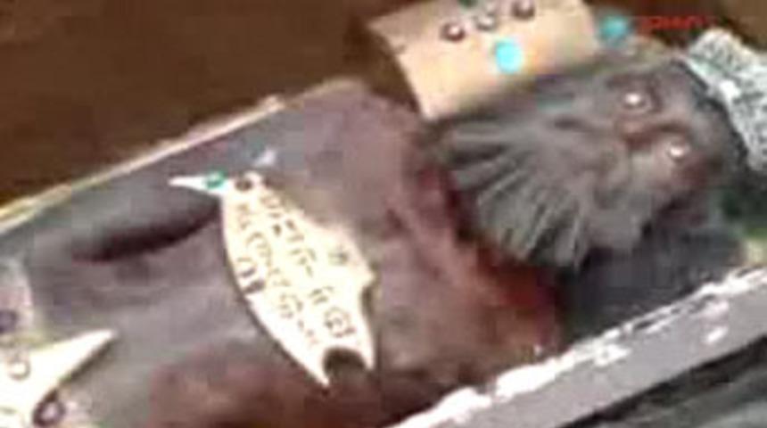 Kars'ı karıştıran papaz mumyası