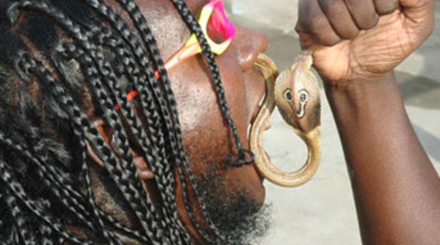 D&uuml;nyanın en iğren&ccedil; ve havalı g&ouml;sterisi