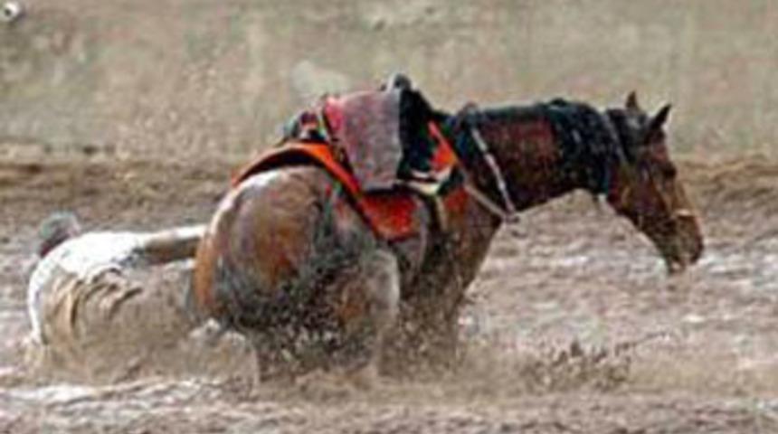 Cirit&ccedil;inin &ouml;l&uuml;mden d&ouml;nd&uuml;ğ&uuml; an