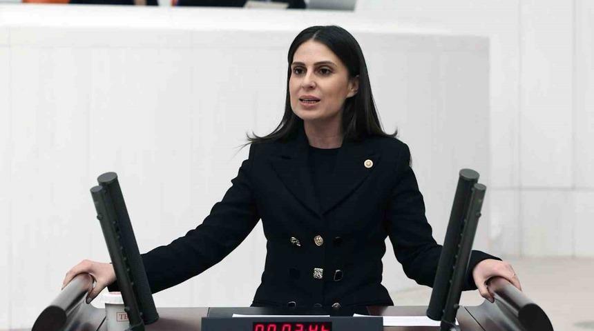 Dünya Çam balının merkezine ‘Arıcılık Enstitüsü’ için kanun teklifi