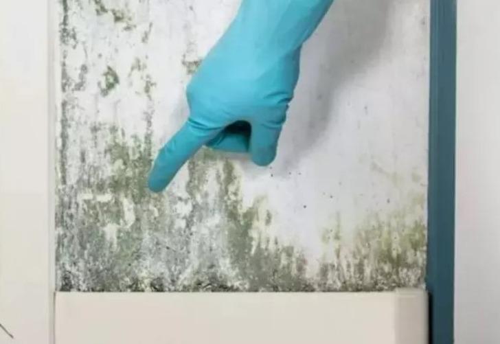 Hırıltı, öksürük, kaşıntı... Evinizde hiç tahmin etmediğiniz yerlerde gizleniyor! Vücudunuzdaki işaretler varlığının kanıtı olabilir G3