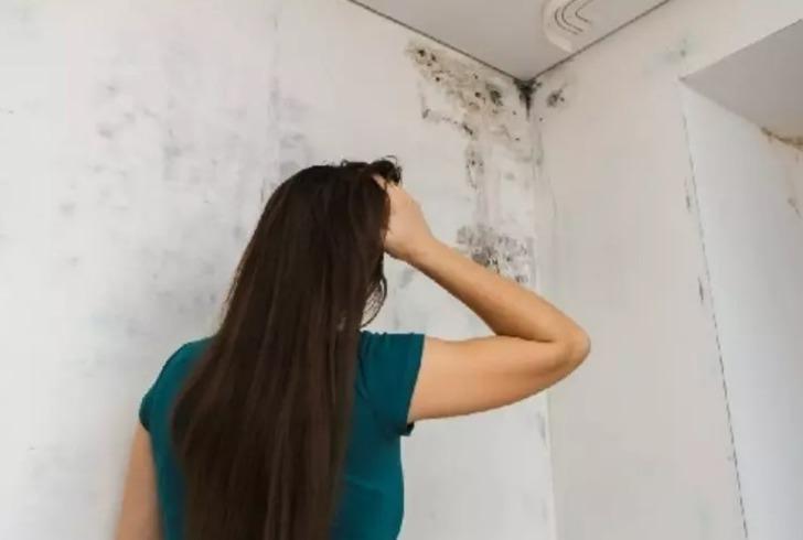 Hırıltı, öksürük, kaşıntı... Evinizde hiç tahmin etmediğiniz yerlerde gizleniyor! Vücudunuzdaki işaretler varlığının kanıtı olabilir G4