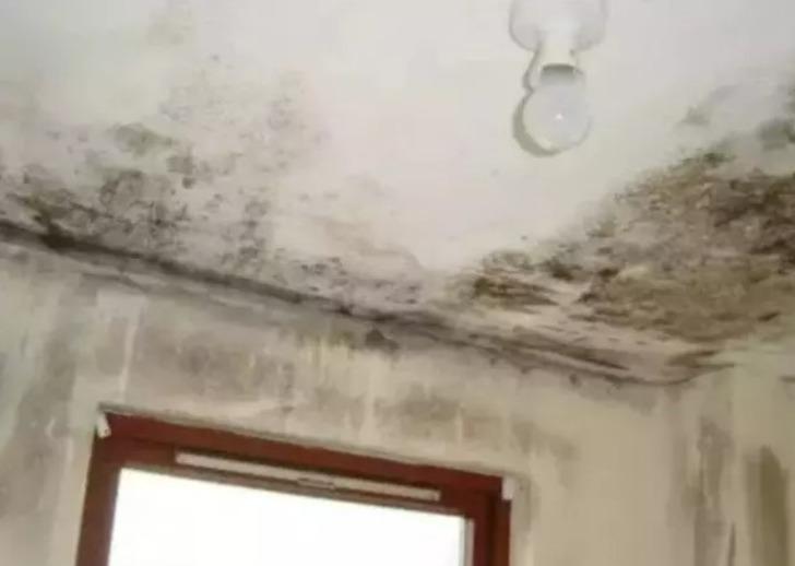 Hırıltı, öksürük, kaşıntı... Evinizde hiç tahmin etmediğiniz yerlerde gizleniyor! Vücudunuzdaki işaretler varlığının kanıtı olabilir G5