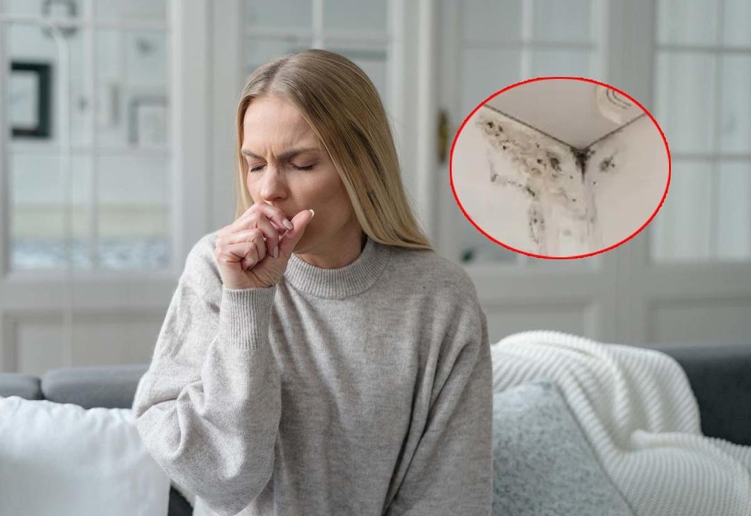 Hırıltı, &ouml;ks&uuml;r&uuml;k, kaşıntı... Evinizde hi&ccedil; tahmin etmediğiniz yerlerde gizleniyor! V&uuml;cudunuzdaki işaretler varlığının kanıtı olabilir