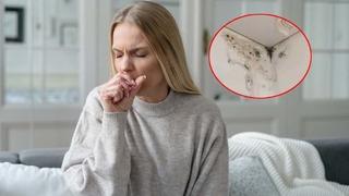 Hırıltı, öksürük, kaşıntı... Evinizde hiç tahmin etmediğiniz yerlerde gizleniyor! Vücudunuzdaki işaretler varlığının kanıtı olabilir