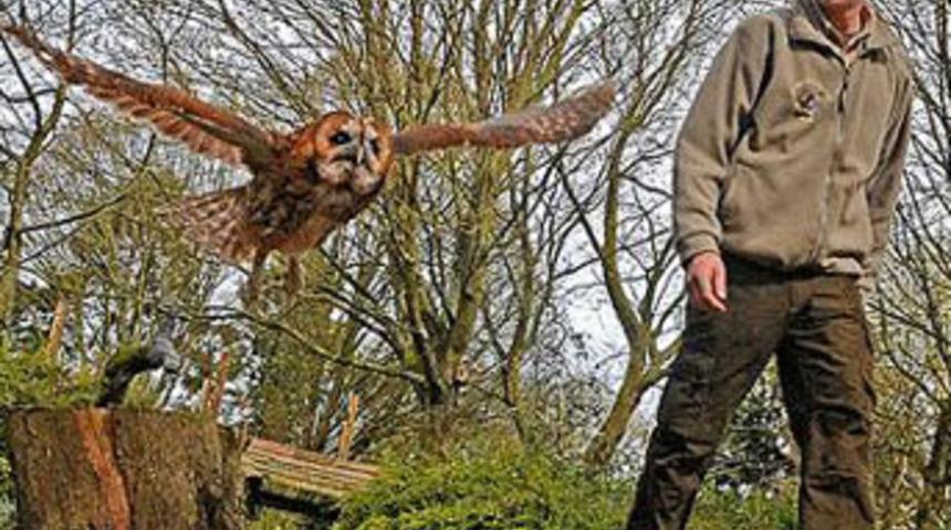Bu kuş u&ccedil;maktan korkuyor!