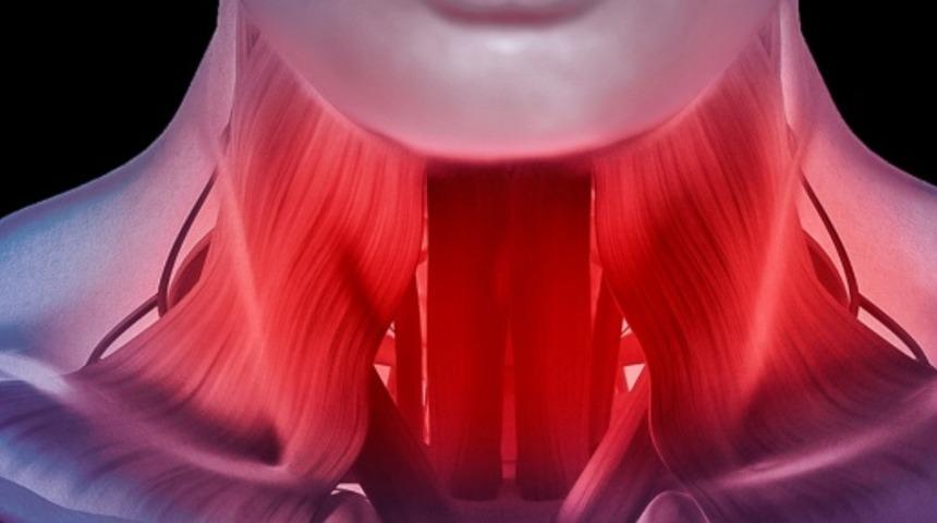  Aşk vücuda neler yapıyor?