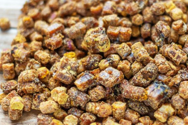 Uzmanlardan bağışıklık sistemi için arı ekmeği tavsiyesi! Yalnızca arılar tarafından doğal olarak üretiliyor G3