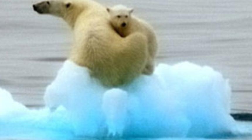 Anneyle yavrunun &ccedil;aresizliği i&ccedil; sızlattı