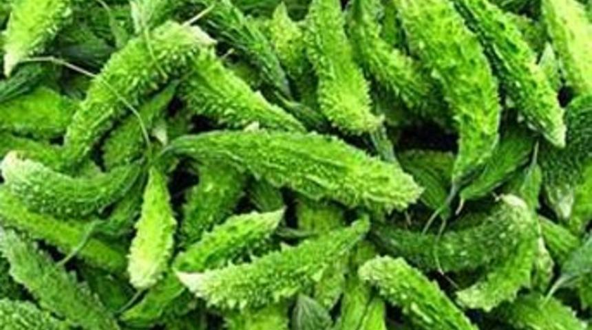 Kansere karşı acı kavun hamlesi