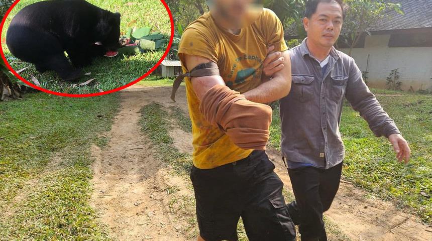 Korku filmi gibi ama gerçek! Meyve vermek istediği ayı kolunu kaptı... Ayıdan kurtulmak için kendi kolunu kesti