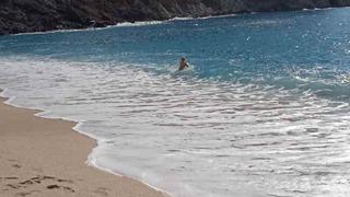 Eksi 20'den artı 20'ye geldiler! Denizden çıkmadılar... Hemen adapte oldular 'Orada kar, burada güneş var! Çok mutluyum'