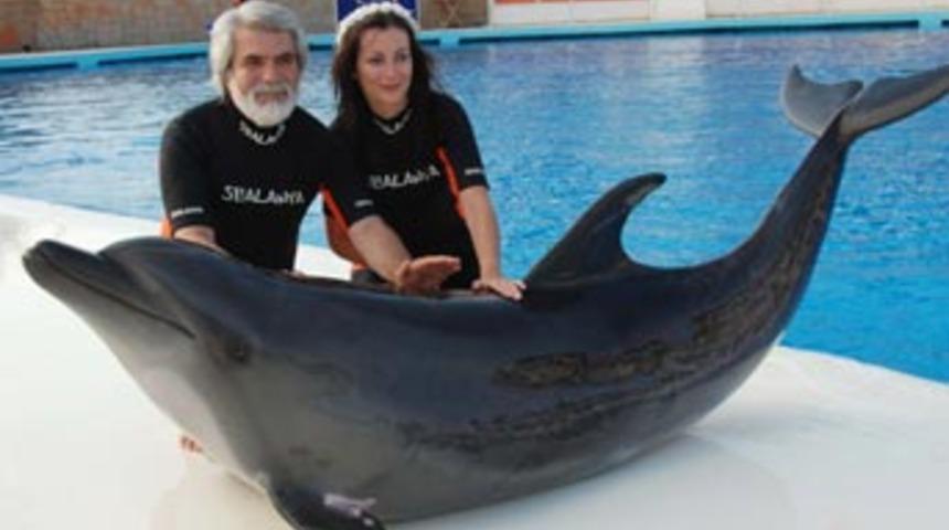 Antalya'da 4 g&ouml;steri yunusu &ouml;ld&uuml;