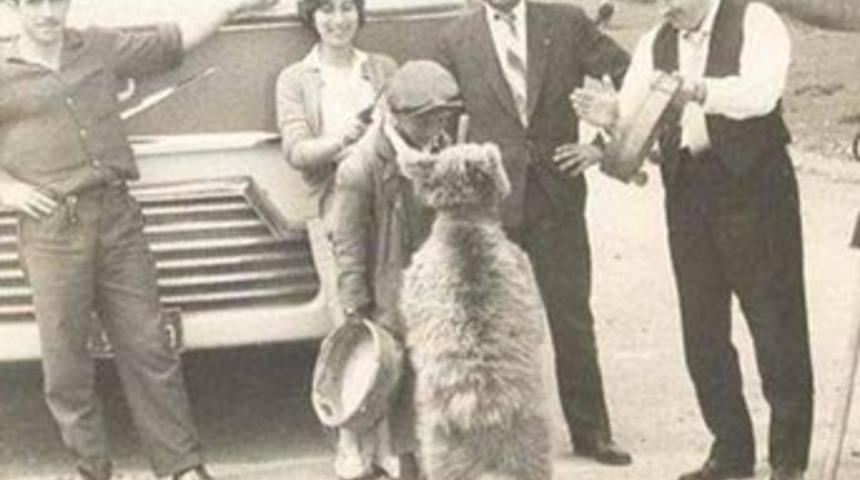 Bunları ne kadar hatırlıyorsunuz?