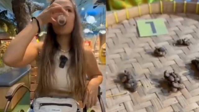 Fiyatı dudak uçuklattı! Kedi tuvaletini yapıyor ve kahveyi üretiyor 