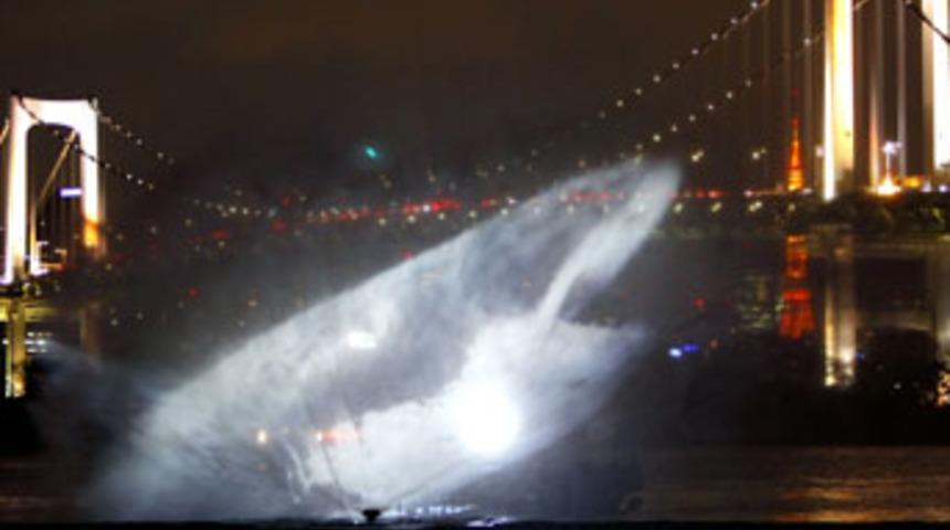 K&ouml;pr&uuml;ye k&ouml;pekbalığı saldırdı!