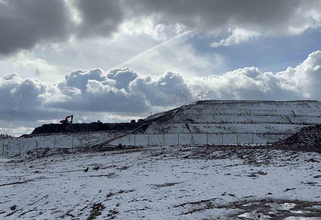 Eskişehir&rsquo;de şehir &ccedil;&ouml;pl&uuml;ğ&uuml;nde bebek cesedi bulundu