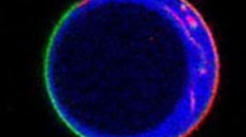 Ve bilimadamları 'h&uuml;cre'yi yarattı!