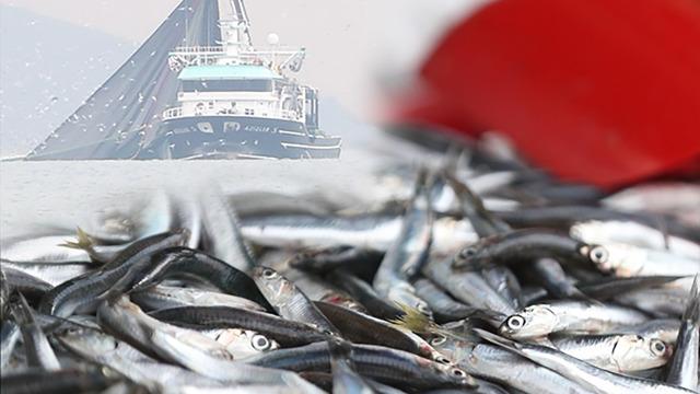 İstanbul Boğazı'nda '24 metre' tartışması: Sosyal medyada gündeme gelen iddialar sonrası isyan ettiler