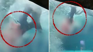 Kan donduran görüntüler! Köpek balığı 10 yaşındaki çocuğun etrafında dönmeye başlayınca dalış kabusa döndü...