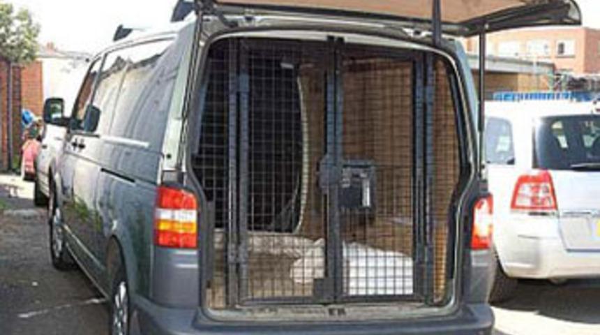 Seks k&ouml;lelerini kafesle taşıyorlardı!