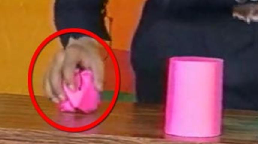 İlizyonistin acı dolu dakikları