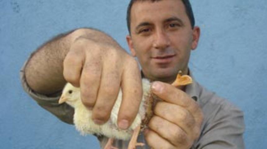 Bu civcivin eli var!