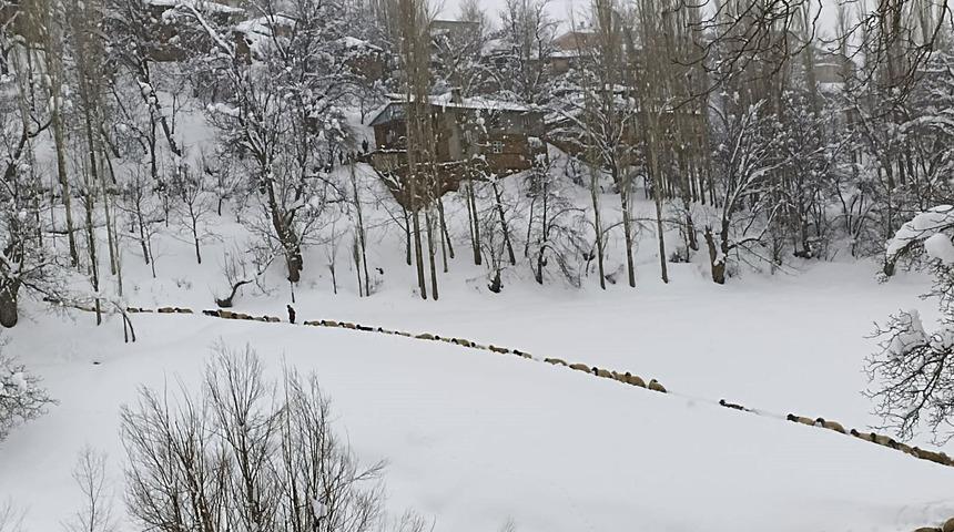 Küçükbaş hayvan sürüsünün kar örtüsü arasındaki yolculuğu görüntülendi