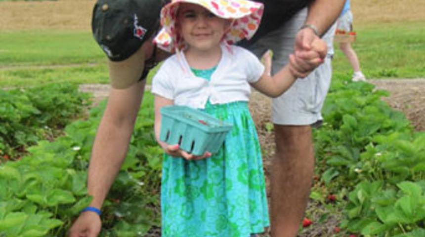 Kobaylık i&ccedil;in servet &ouml;dedi