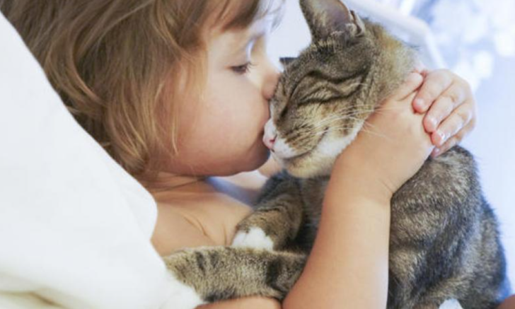 "NEREDEYSE DÜNYANIN HER YERİNDE SAVAŞLAR VE GÖÇLER VAR"