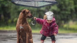 Diziler ve filmler merhametsizliği artırdı Psikiyatri Uzmanından dikkat çeken açıklama!