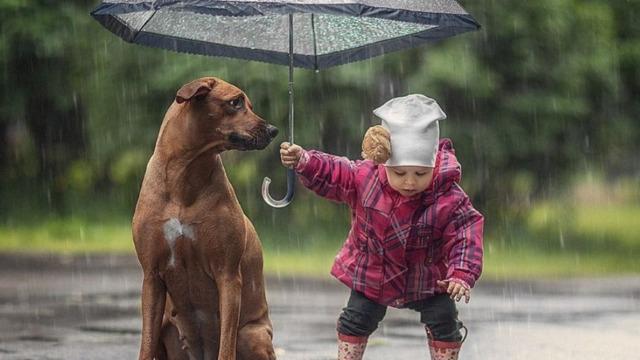 Diziler ve filmler merhametsizliği artırdı Psikiyatri Uzmanından dikkat çeken açıklama!