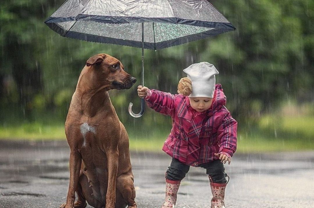 "Diziler ve filmler merhametsizliği artırdı" Psikiyatri Uzmanından dikkat &ccedil;eken a&ccedil;ıklama!