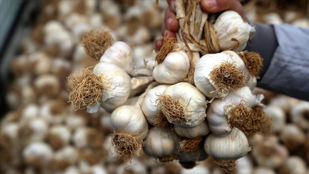 Beslenme uzmanından sonbaharda bağışıklığı güçlendiren 8 mucize besin... 3