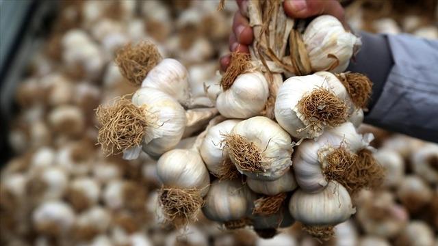 Dünyanın en iyi sarımsağı belli oldu! Listede Türkiye'den 2 şehrimiz var