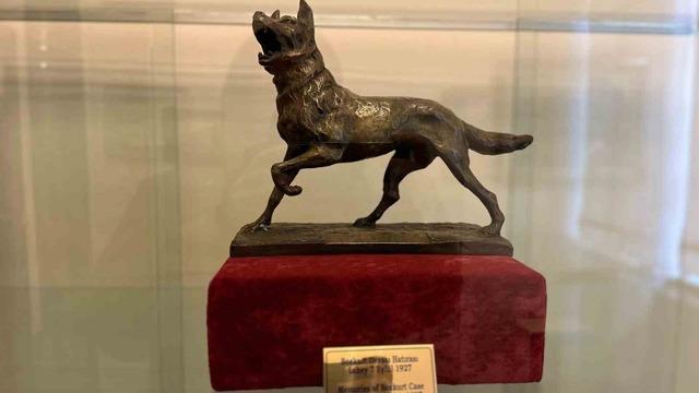 Lahey’in hediye ettiği ’bozkurt’ heykeli Samsun’da sergileniyor