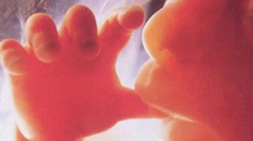 U&ccedil;akta doğurduğu bebeği tuvalete attı