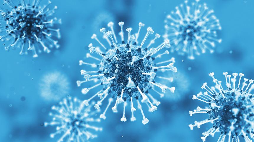 X hastalığı nedir, belirtileri nelerdir? X virüsü nasıl bulaşır?