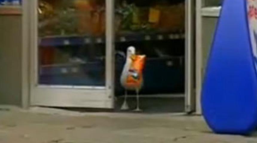 Cips &ccedil;alan hırsız martı!