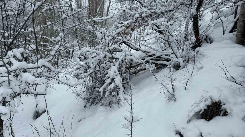 Beytüşşebap’ta ağaç dalları kar ağırlığına dayanamadı