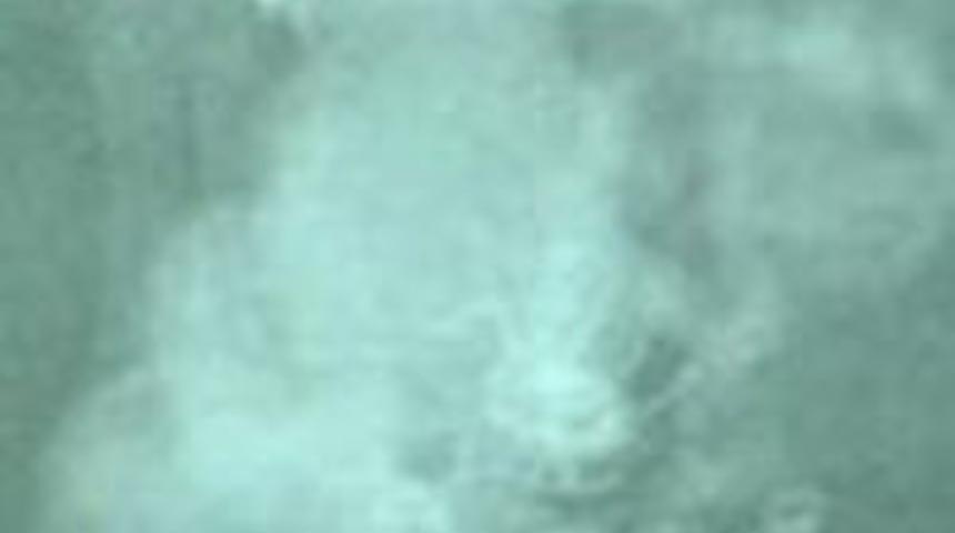 K&ouml;pek kediyi yutunca...