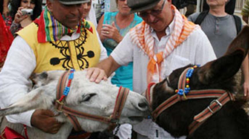 Eşeklerin d&uuml;ğ&uuml;n&uuml;nde kavga